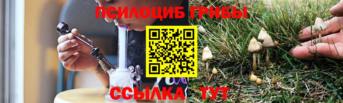 Псилоцибиновые грибы Psilocybe  Вход с VPN  Алексин  Псилоцибиновые грибы мухоморы 