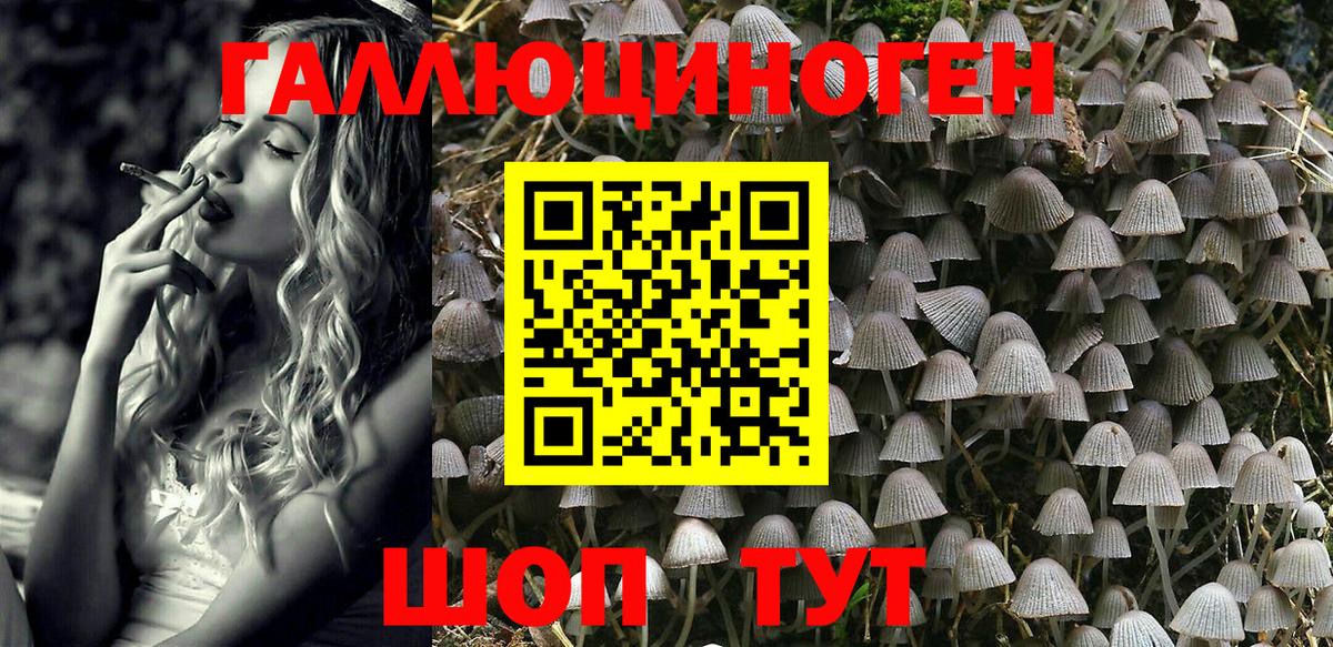 Псилоцибиновые грибы MAGIC MUSHROOMS Алексин